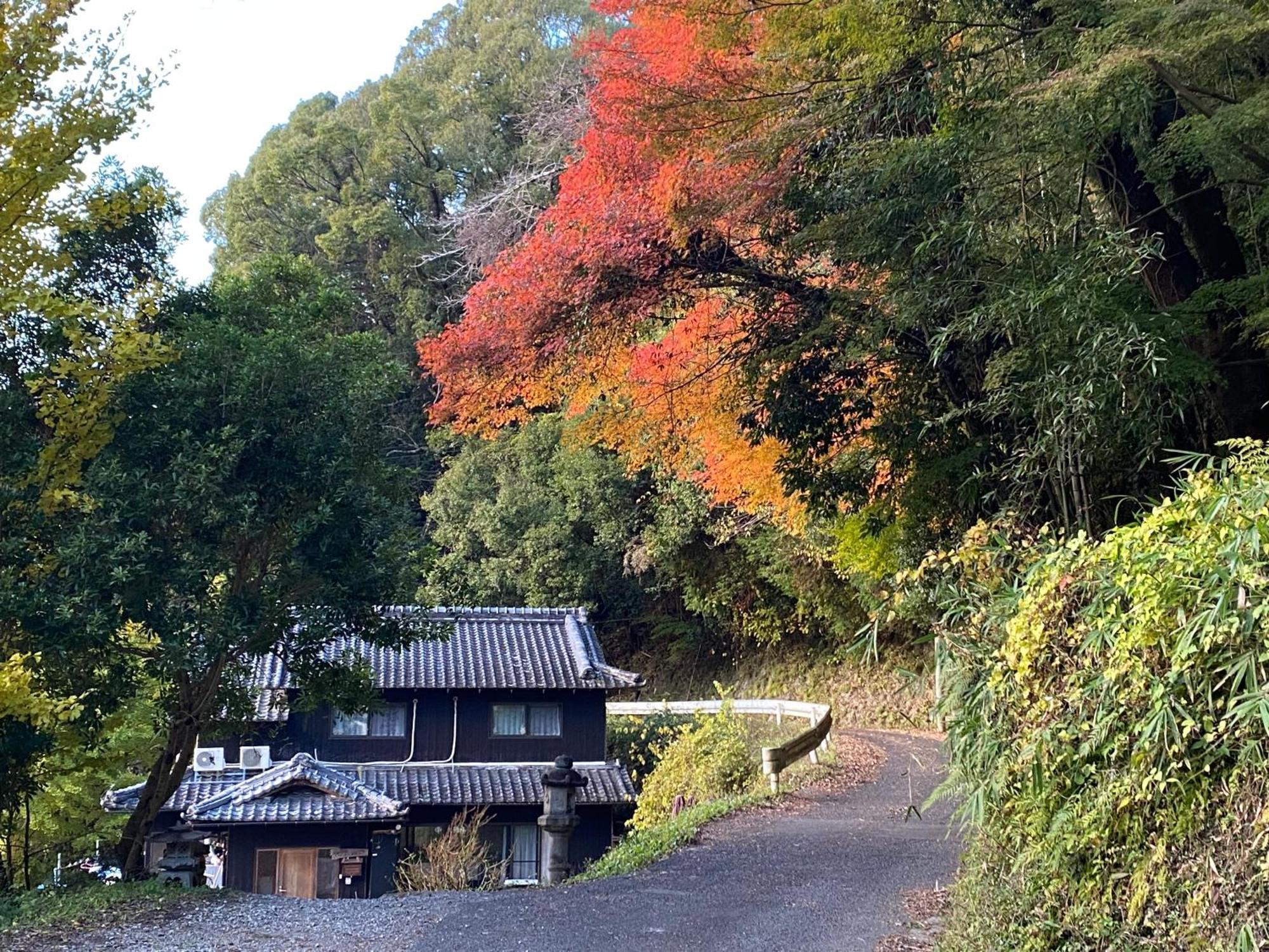 Kizuna Guesthouse Kizugawa Exteriér fotografie